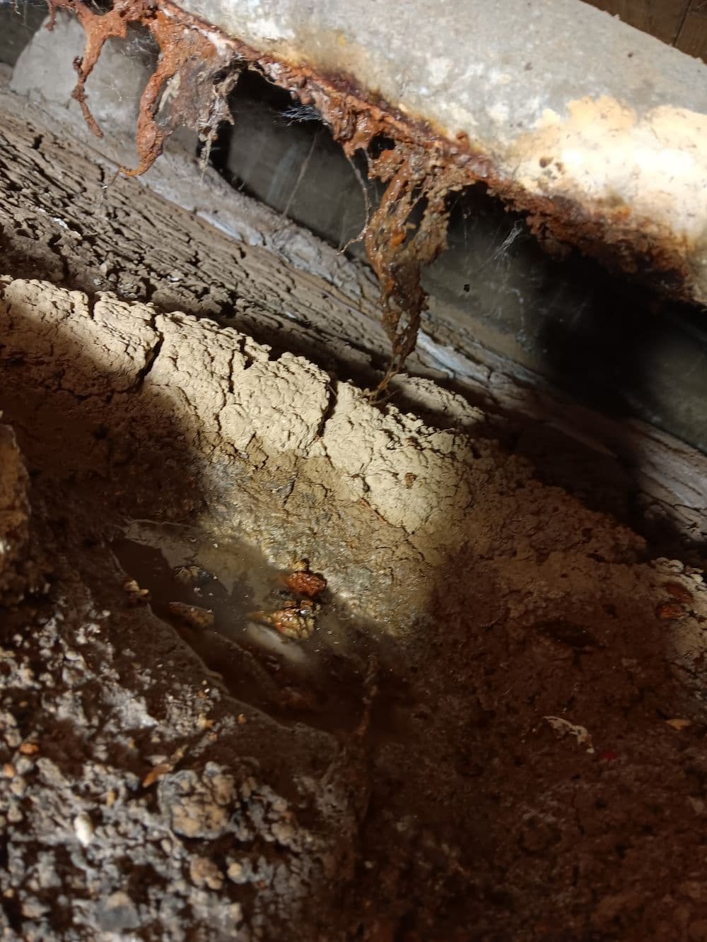 Deteriorating concrete foundation with moisture and rust stains in dark basement setting.