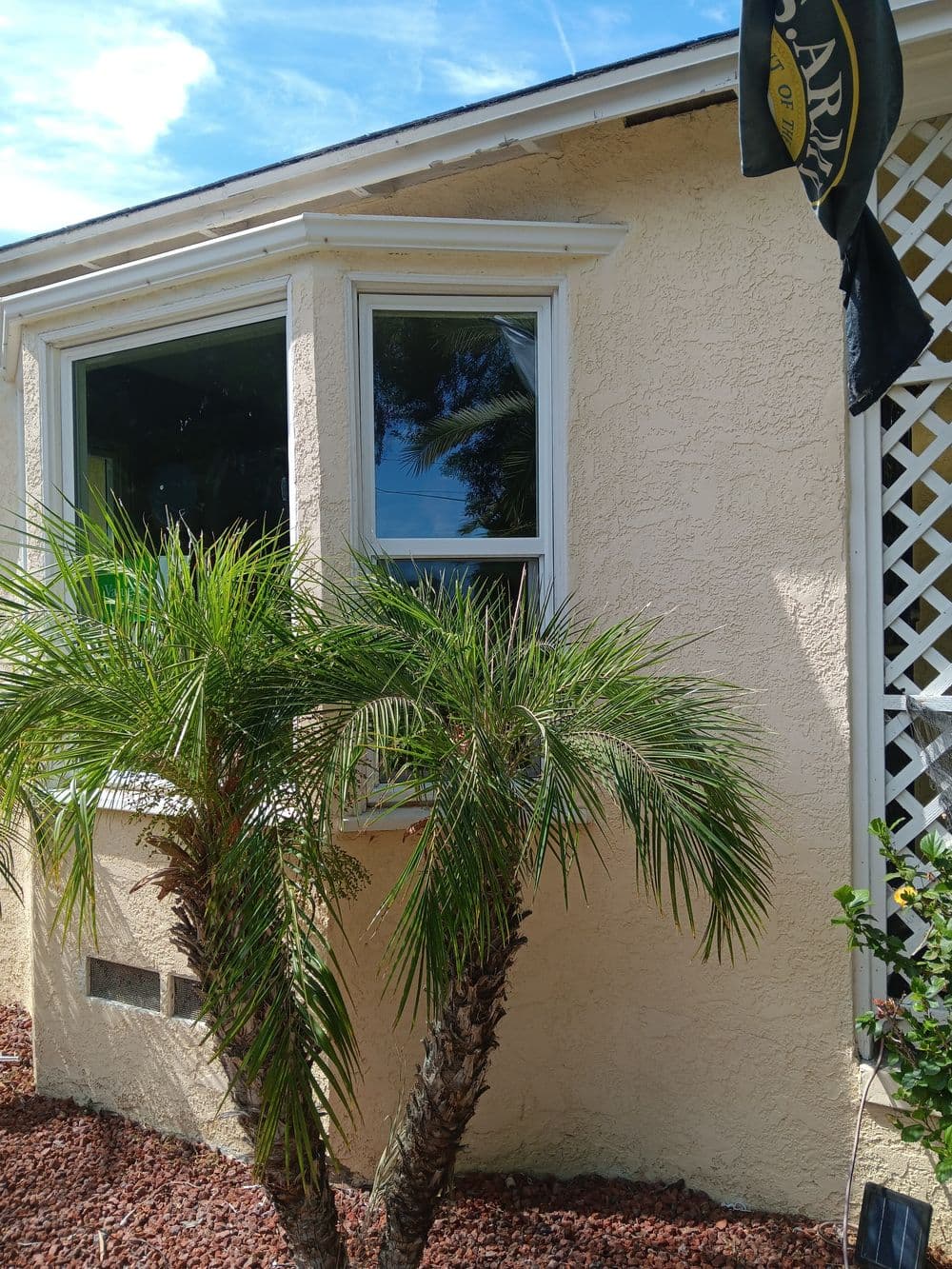Palm tree beside a house window with a black flag and blue sky in the background.